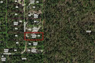 4801 N Mattox Point, Crystal River, FL 34428 - Photo 6