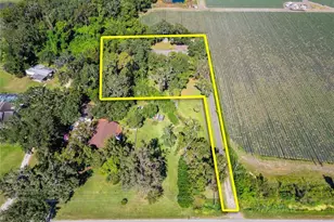 332 Holloway Rd, Plant City, FL 33567 - Photo 86