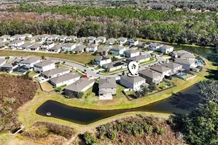 33135 Sand Creek Dr, Wesley Chapel, FL 33543 - Photo 38