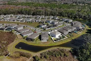 33135 Sand Creek Dr, Wesley Chapel, FL 33543 - Photo 34