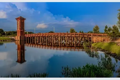 33135 Sand Creek Drive, Wesley Chapel, FL 33543 - Photo 42