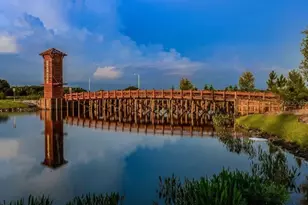 33135 Sand Creek Dr, Wesley Chapel, FL 33543 - Photo 42