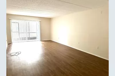 201 Pine Court, Oldsmar, FL 34677 - Photo 4