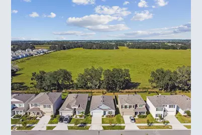 33635 Field Maple Loop, Wesley Chapel, FL 33545 - Photo 36