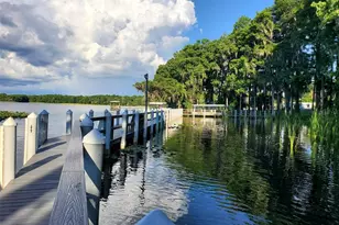 2281 Shelly Dr, Palm Harbor, FL 34684 - Photo 50