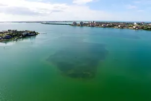 5200 Brittany Dr S, Saint Petersburg, FL 33715 - Photo 80