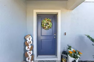 1015 Golden Shiner Ave, Ruskin, FL 33570 - Photo 6