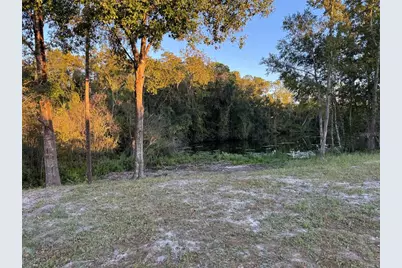 0000 Eagle Boulevard, Land O Lakes, FL 34639 - Photo 4