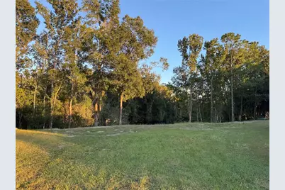 0000 Eagle Boulevard, Land O Lakes, FL 34639 - Photo 2