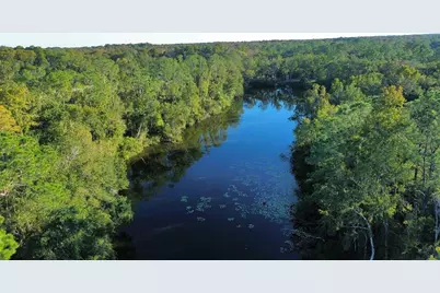 0000 Eagle Boulevard, Land O Lakes, FL 34639 - Photo 10