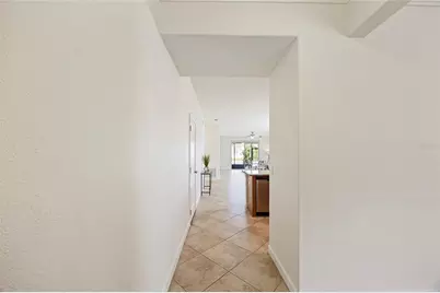 19485 Paddock View Drive, Tampa, FL 33647 - Photo 8