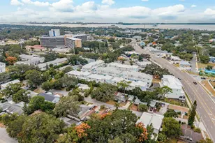 833 Oak Bend Ln, Dunedin, FL 34698 - Photo 52