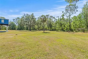 4425 Pine St, Valrico, FL 33596 - Photo 50