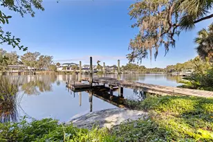 8609 Stoner Rd, Riverview, FL 33569 - Photo 46