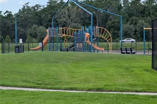 16549 Mosaic Oar Dr, Wimauma, FL 33598 - Photo 18