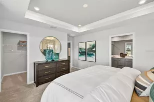 8827 Ginko Run, Parrish, FL 34219 - Photo 20