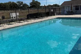 1787 Orange Blvd Way, Palm Harbor, FL 34683 - Photo 26