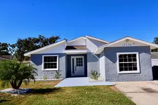 12336 Cloverstone Dr, Tampa, FL 33624 - Photo 1