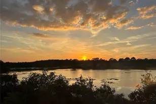 10144 Arbor Run Dr, Tampa, FL 33647 - Photo 46