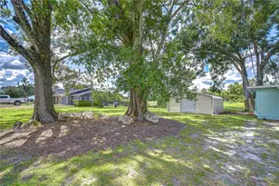 910 Linwood Terrace, Lutz, FL 33549 - Photo 38