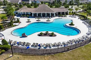 11414 Green Harvest Dr., Riverview, FL 33578 - Photo 42