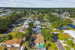 226 Maple Ave, Palm Harbor, FL 34684 - Photo 76