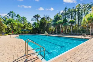 19411 Ranchview Ct, Land O Lakes, FL 34638 - Photo 80