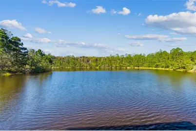 19411 Ranchview Court, Land O Lakes, FL 34638 - Photo 74