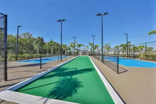 12418 Radiant Crystal Rose, Parrish, FL 34219 - Photo 40