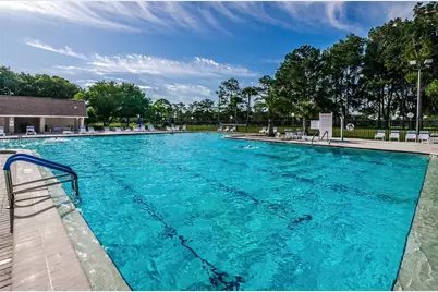 3420 Stonehaven Court E #D, Palm Harbor, FL 34684 - Photo 40