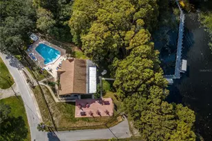 3420 Stonehaven Ct E, Palm Harbor, FL 34684 - Photo 66