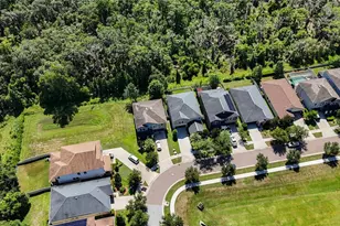 14240 Blue Dasher Dr, Riverview, FL 33569 - Photo 22