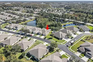 31034 Whitlock Dr, Wesley Chapel, FL 33543 - Photo 34