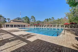 31034 Whitlock Dr, Wesley Chapel, FL 33543 - Photo 44