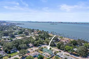 55 Valencia Dr, Dunedin, FL 34698 - Photo 60