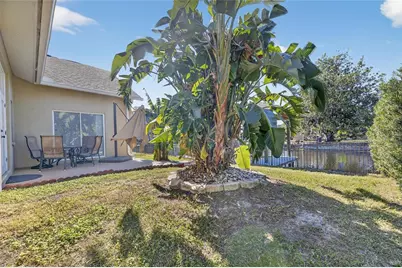 172 Lake Shore Drive W, Palm Harbor, FL 34684 - Photo 50