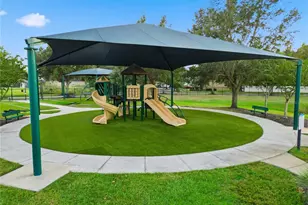 19238 Climbing Aster Dr, Tampa, FL 33647 - Photo 44