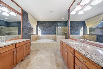 19238 Climbing Aster Drive, Tampa, FL 33647 - Photo 22