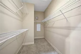 19238 Climbing Aster Dr, Tampa, FL 33647 - Photo 24