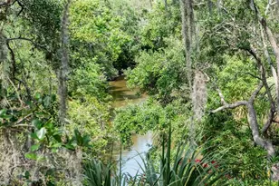 1296 Weybridge Ln, Dunedin, FL 34698 - Photo 58