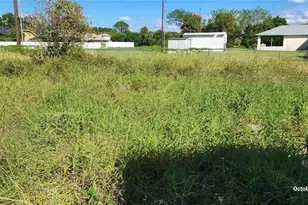 320 Plumosa Ave, Lehigh Acres, FL 33936 - Photo 26