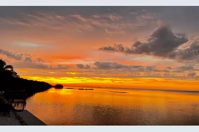 2158 Blossom Way S, Saint Petersburg, FL 33712 - Photo 70