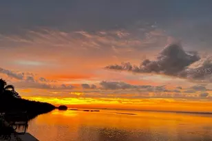 2158 Blossom Way S, Saint Petersburg, FL 33712 - Photo 70