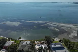 2158 Blossom Way S, Saint Petersburg, FL 33712 - Photo 80