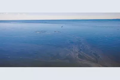 2158 Blossom Way S, Saint Petersburg, FL 33712 - Photo 58