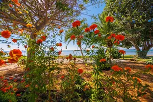 2158 Blossom Way S, Saint Petersburg, FL 33712 - Photo 62