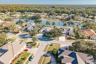 3866 Moreno Dr, Palm Harbor, FL 34685 - Photo 52