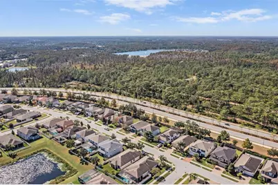 1570 Fox Grape Loop, Lutz, FL 33558 - Photo 34