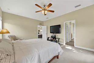 6828 Park Strand Dr, Apollo Beach, FL 33572 - Photo 52