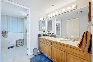 3301 Bayshore Blvd, Tampa, FL 33629 - Photo 42